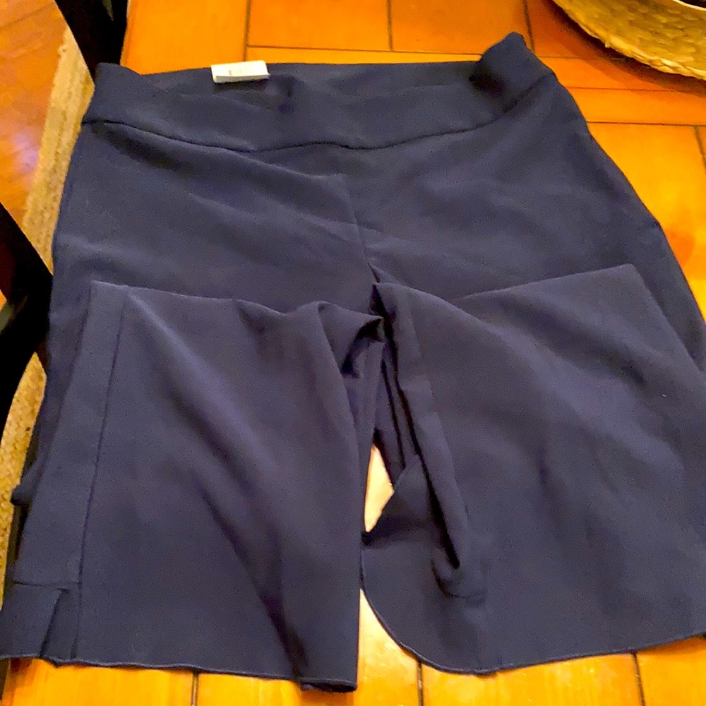 International Concepts INC Fit and Flair Size 14